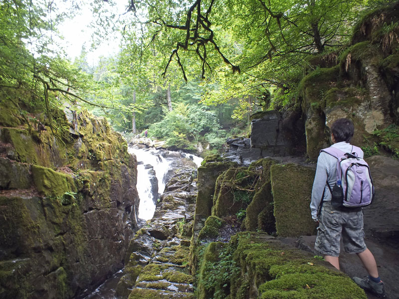 Dunkeld Walks