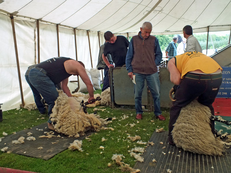 Annual Sheep Dog Trials Competition