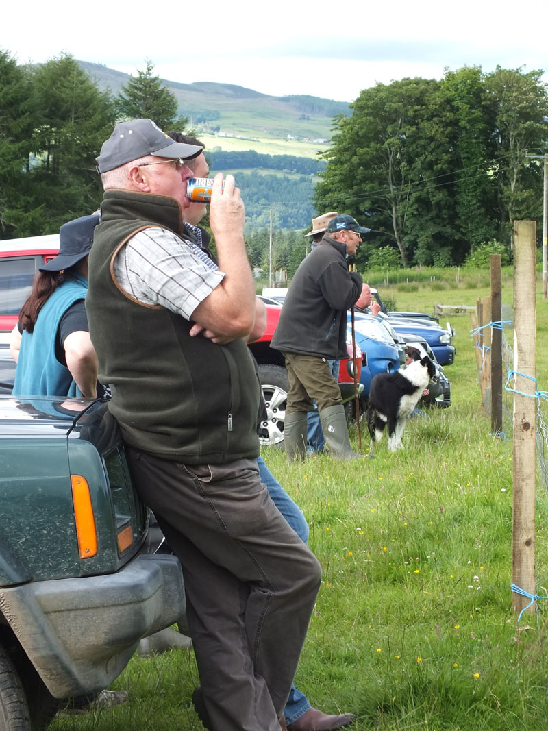 Annual Sheep Dog Trials Competition
