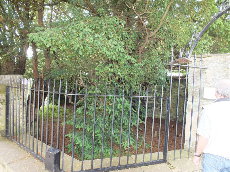 Fortingall the Church