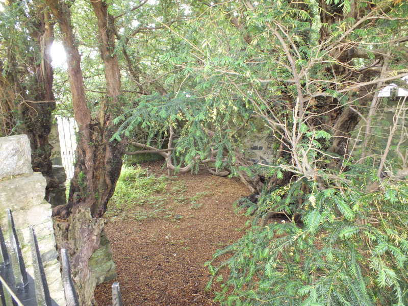 Fortingall the Church