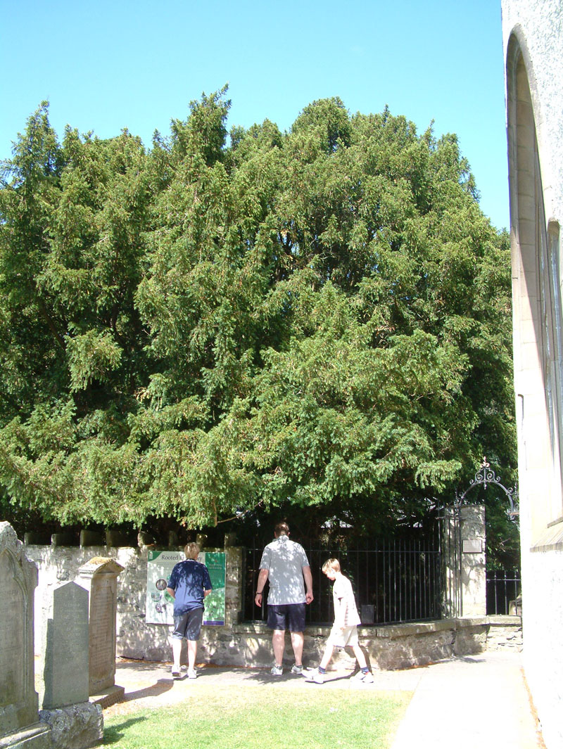 Fortingall the Church