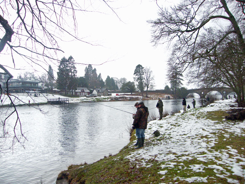 Traditional Tay Salmon