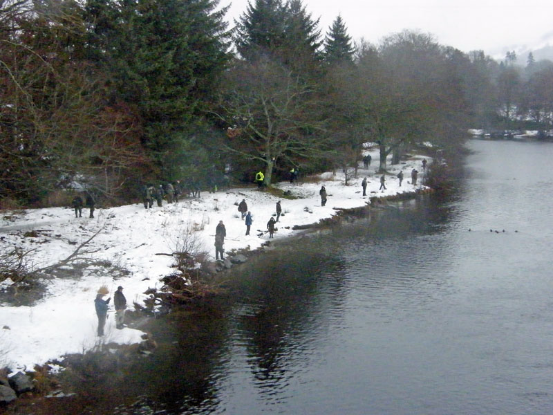 Traditional Tay Salmon