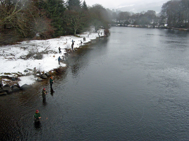 Traditional Tay Salmon