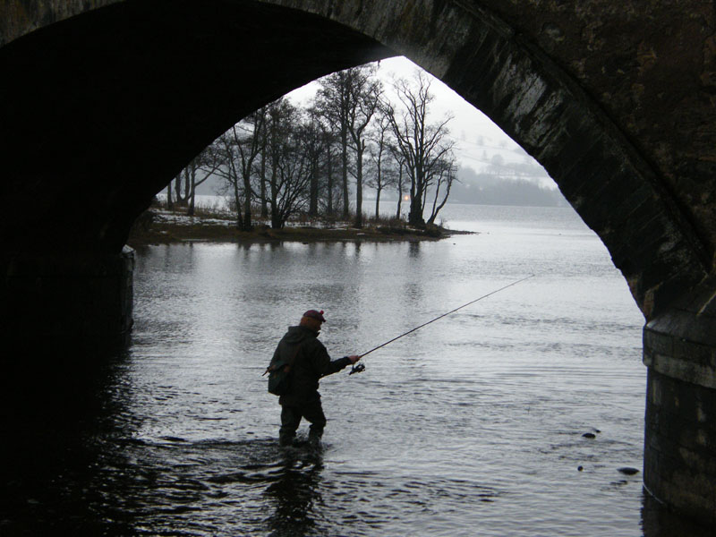 Traditional Tay Salmon