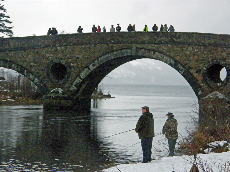 Traditional Tay Salmon