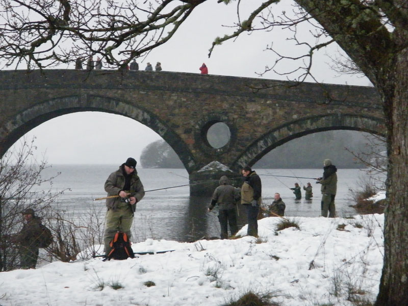 Traditional Tay Salmon