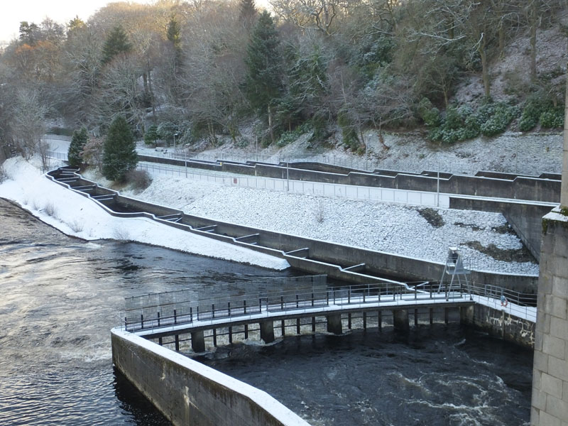 Pitlochry Dam and Fish Ladder walk