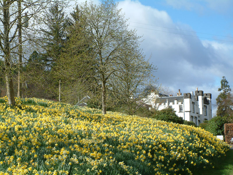 Bolfracks Ornamental Garden