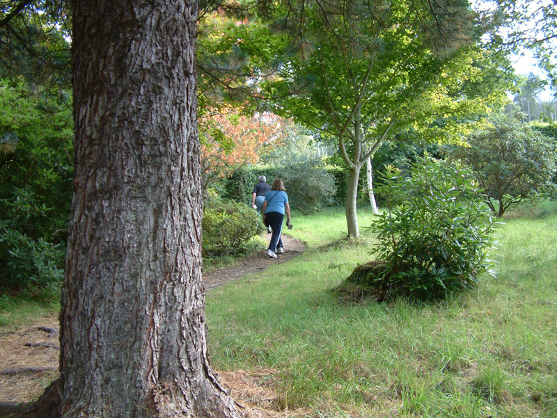 Bolfracks Ornamental Garden