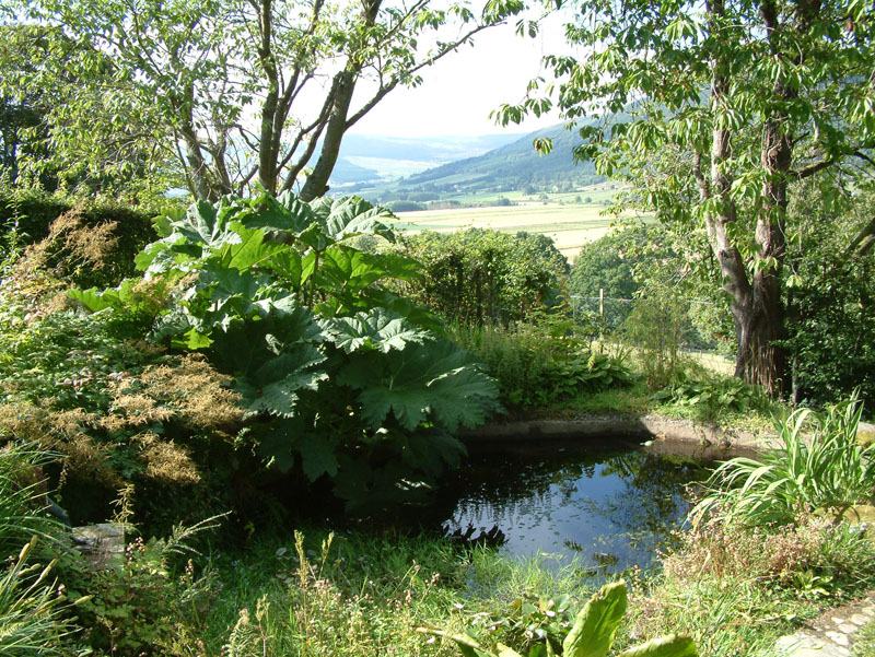 Bolfracks Ornamental Garden