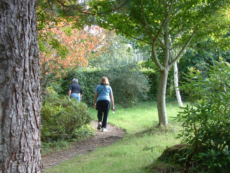 Bolfracks Ornamental Garden