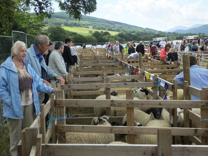 Aberfeldy Show and Highland Games