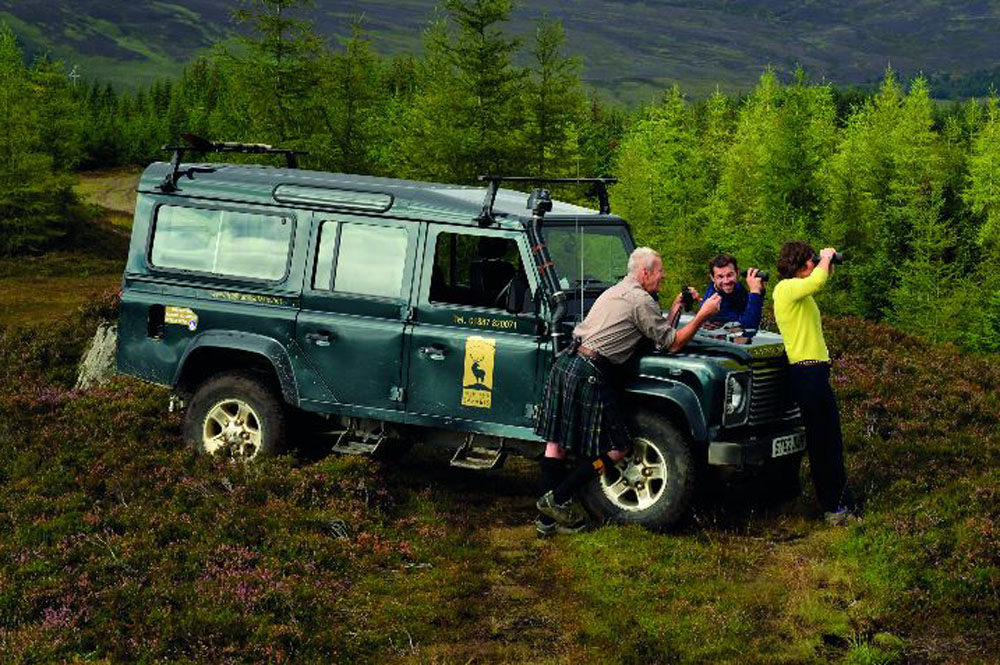 Highland Safaris
