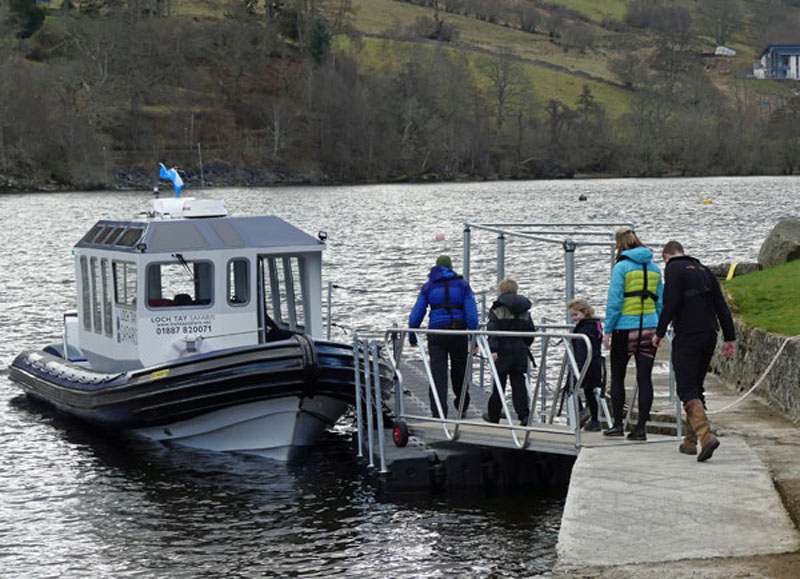 Loch Tay Safaris