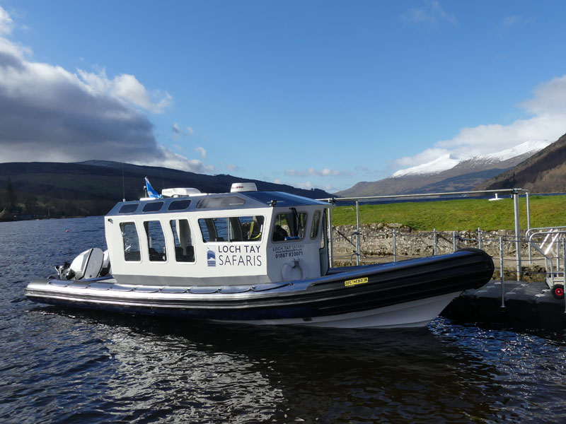 Loch Tay Safaris