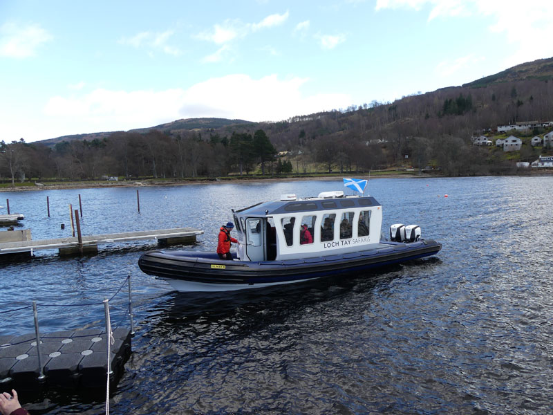 Loch Tay Safaris