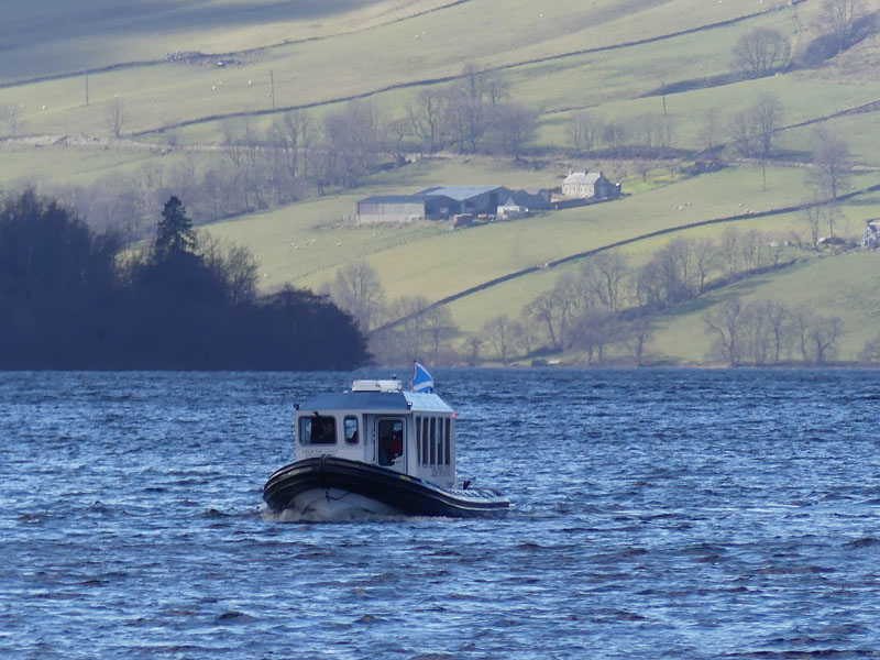 Loch Tay Safaris