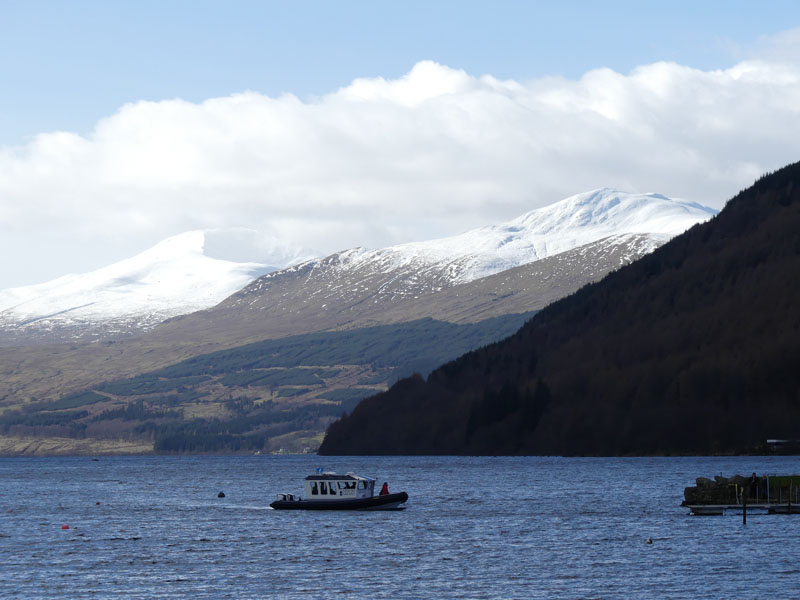 Loch Tay Safaris