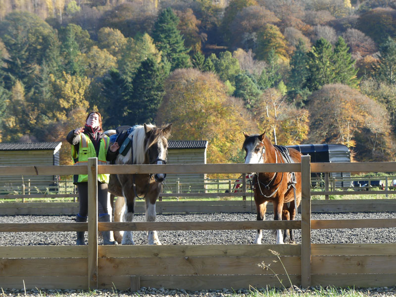 Mains of Taymouth Stables