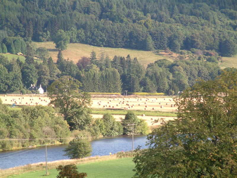 Salmon Fishing on the River Tay