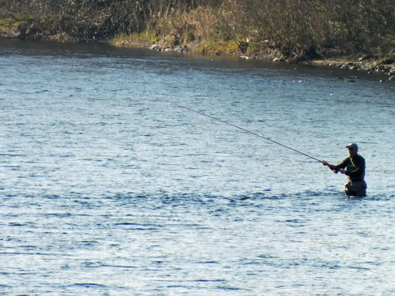Salmon Fishing on the River Tay