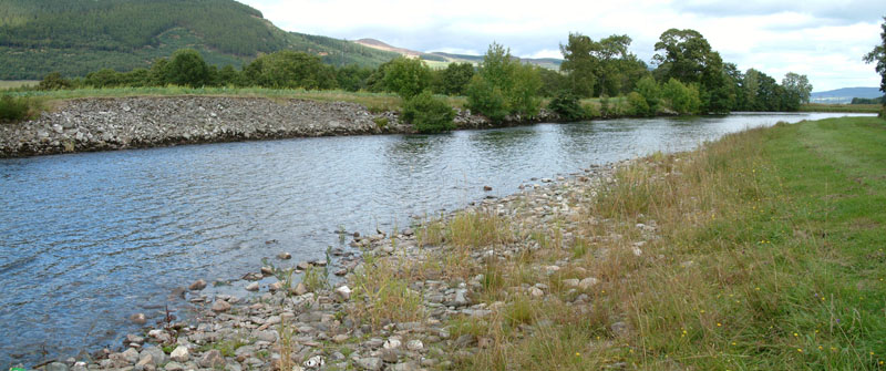 Salmon Fishing on the River Tay