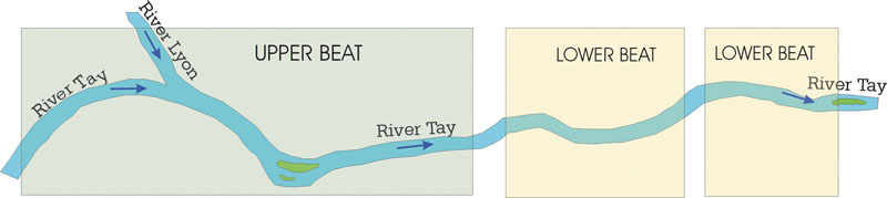 Salmon Fishing on the River Tay