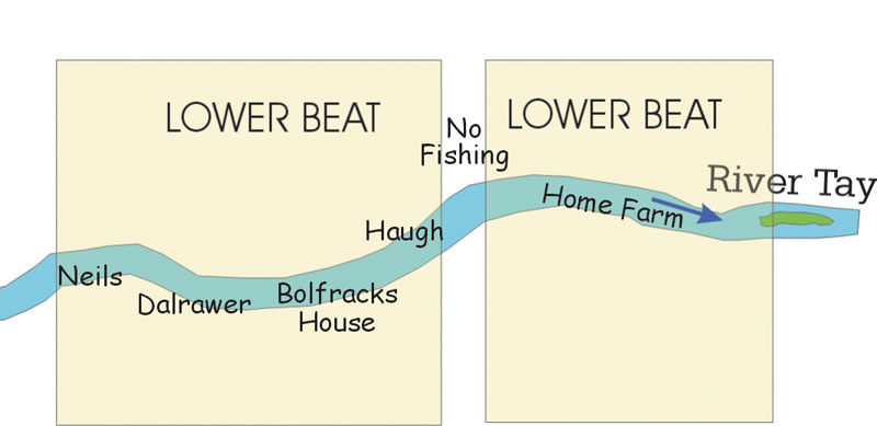 Salmon Fishing on the River Tay