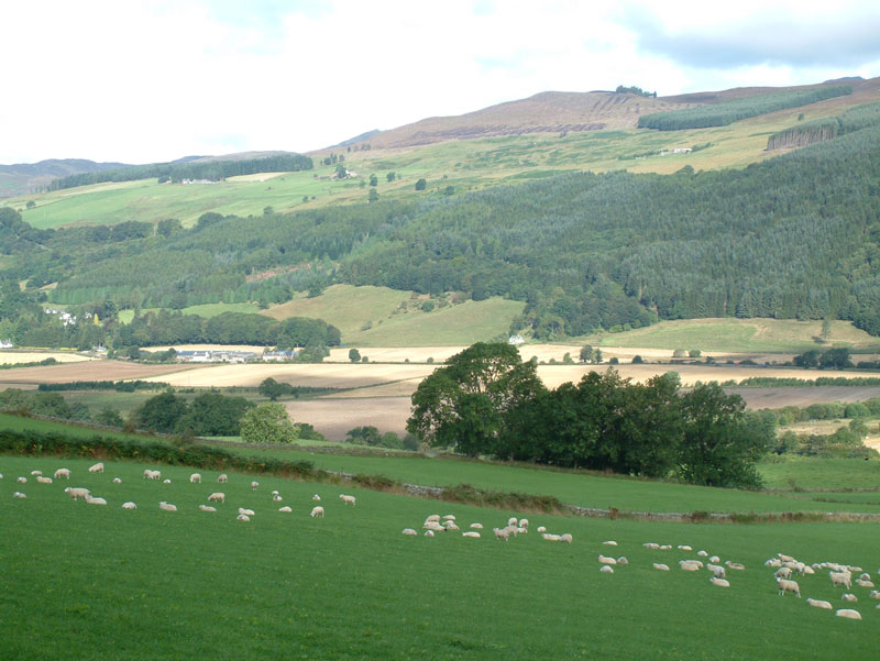 Salmon Fishing on the River Tay