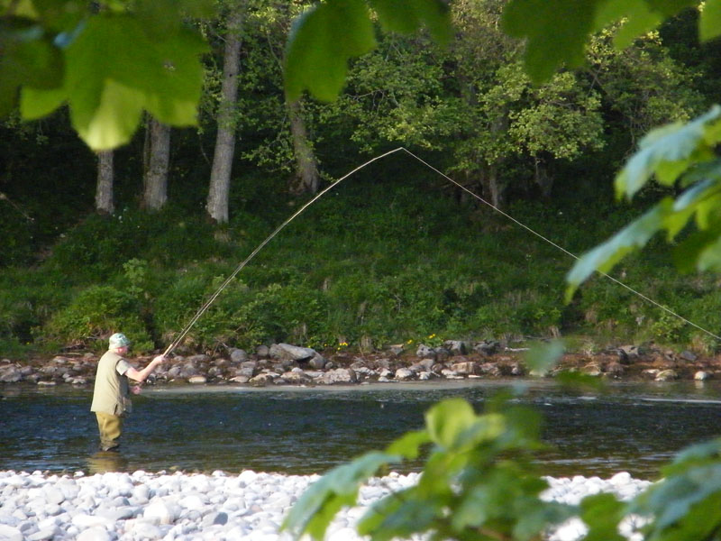 Salmon Fishing on the River Tay