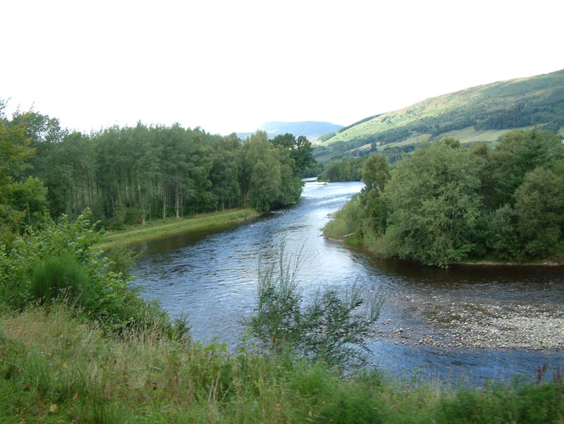 Salmon Fishing on the River Tay