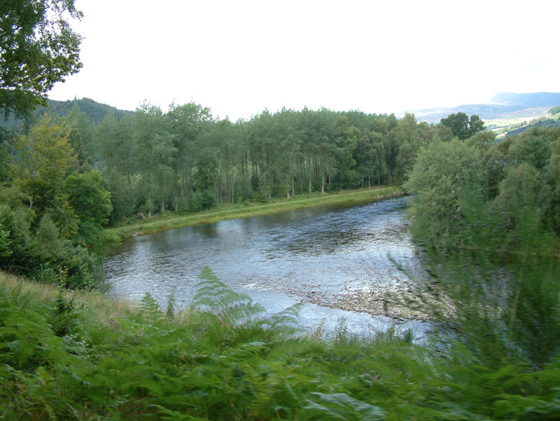 Salmon Fishing on the River Tay