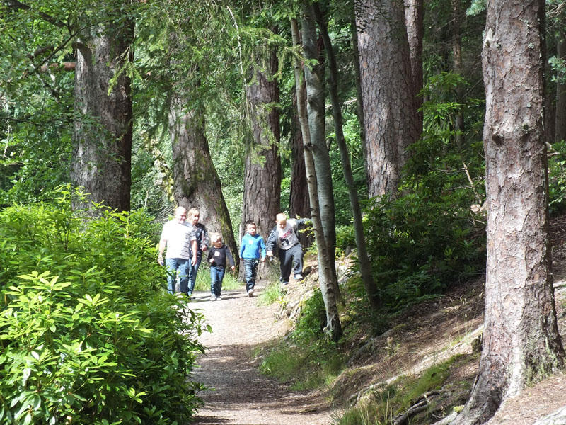 Pitlochry Walks Network