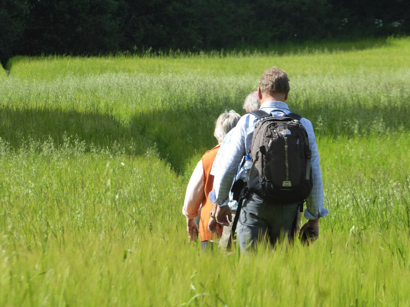 Pitlochry Walks Network