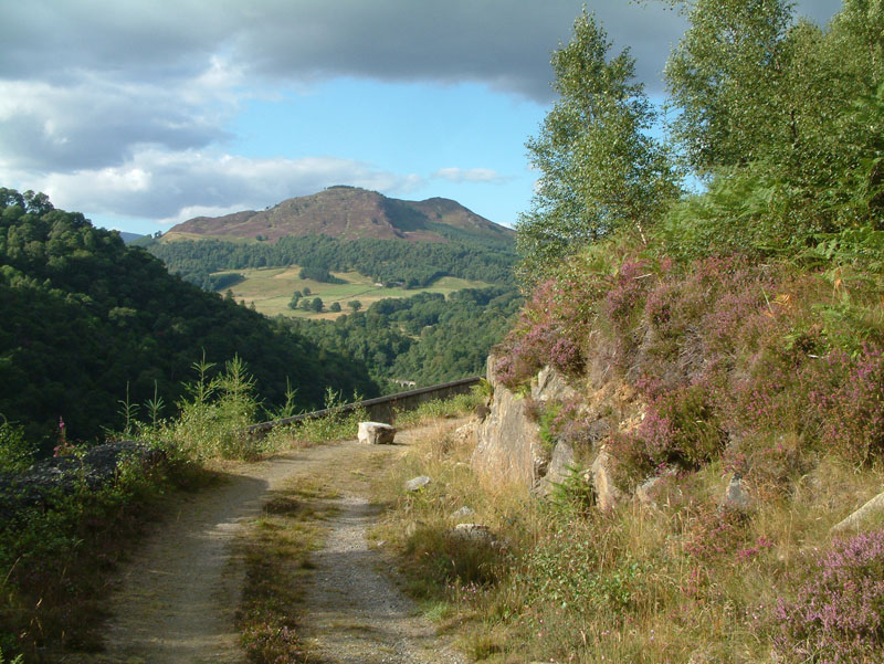 Pitlochry Walks Network