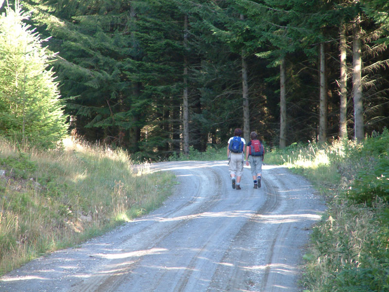 Pitlochry Walks Network