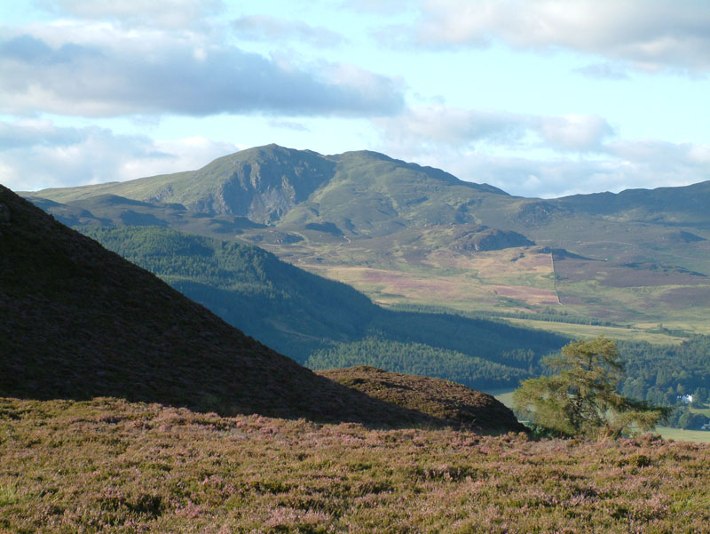 Pitlochry Walks Network