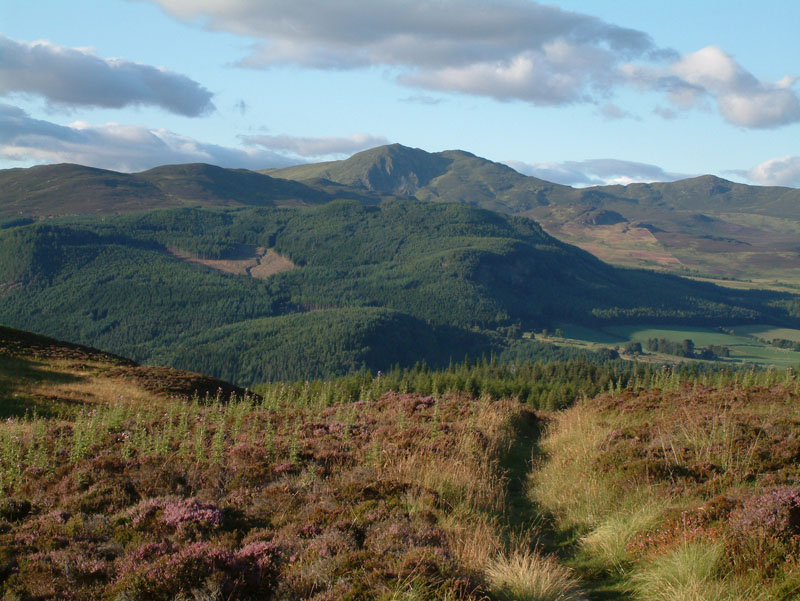 Pitlochry Walks Network