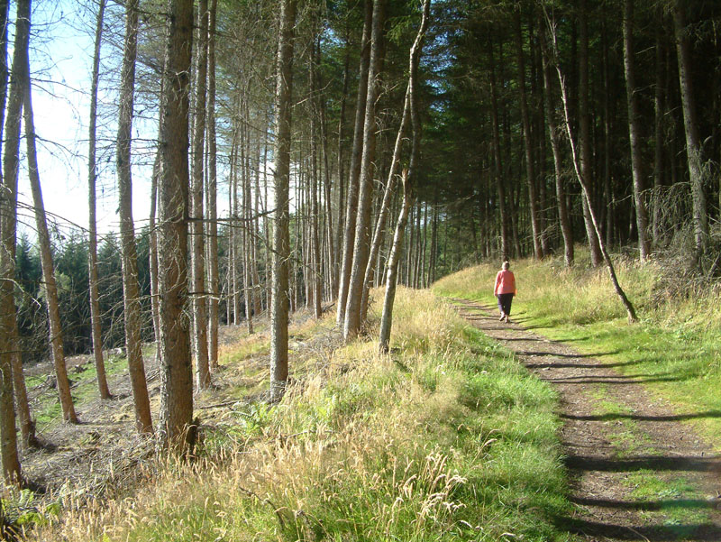 Pitlochry Walks Network