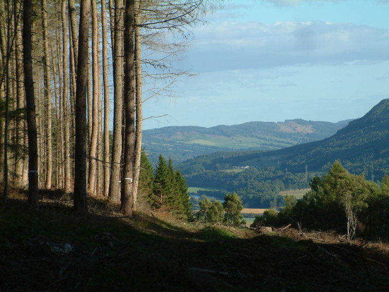 Pitlochry Walks Network